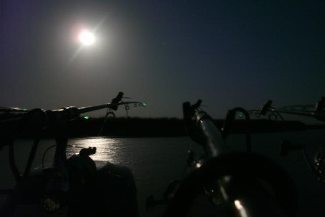 Doar ... NATURA  - 2 - gedc0351.JPG